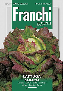 Hlávkový salát - CANASTA - semena