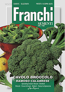 Brokolice – RAMOSO CALABRESE