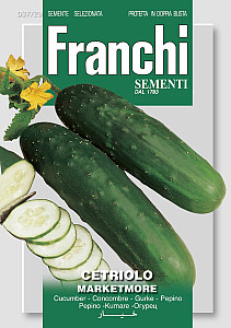 Okurka salátová – MARKETMORE, semena