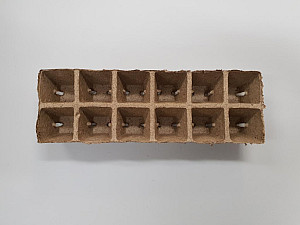 Rašelinový kontejner 6x6 cm - plato 12ks