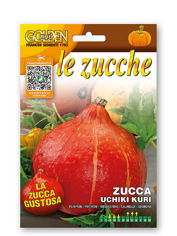 Dýně – UCHIKI KURI - Hokaido