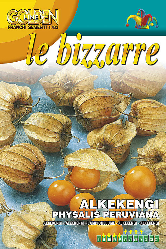 Mochyně – Physalis peruviana