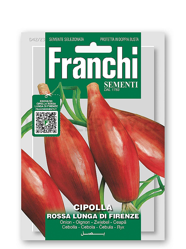 Cibule - ROSSA LUNGA DI FIRENZE