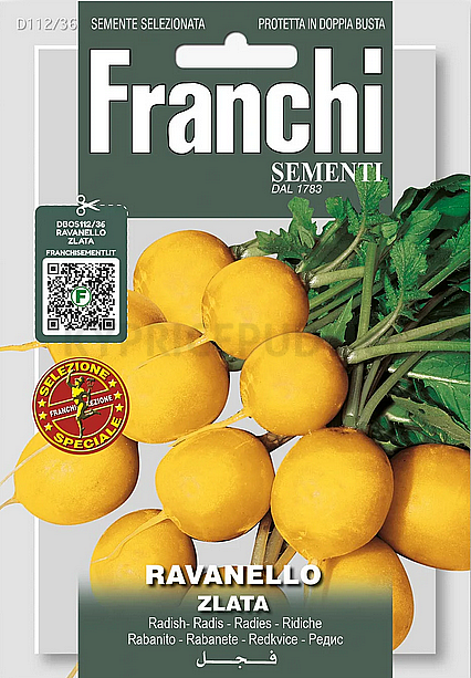 Ředkvička – Zlata