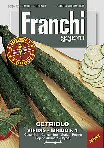 Okurka salátová – BURPLESS TASTY GREEN F1