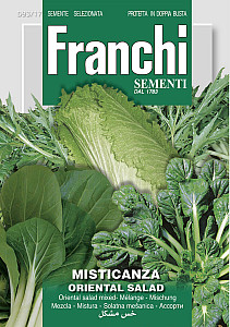 Směs orientálního salátu – ORIENTAL SALAD