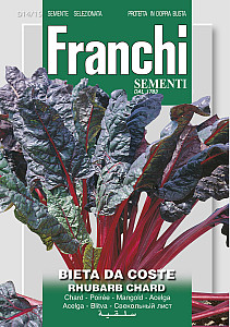 Mangold – RHUBARB CHARD semena