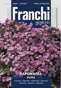 Mydlice bazalkovitá – RŮŽOVÁ – SAPONARIA, semena