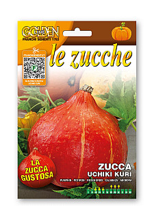 Dýně – UCHIKI KURI - Hokaido
