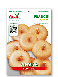 Cibule – BORETTANA