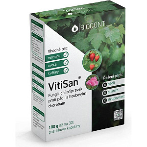 VitiSan - 100 g