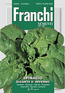 Špenát obrovský zimní - SPINACIO GIGANTE 14g