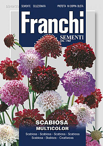 Hlaváč - SCABIOSA 1g